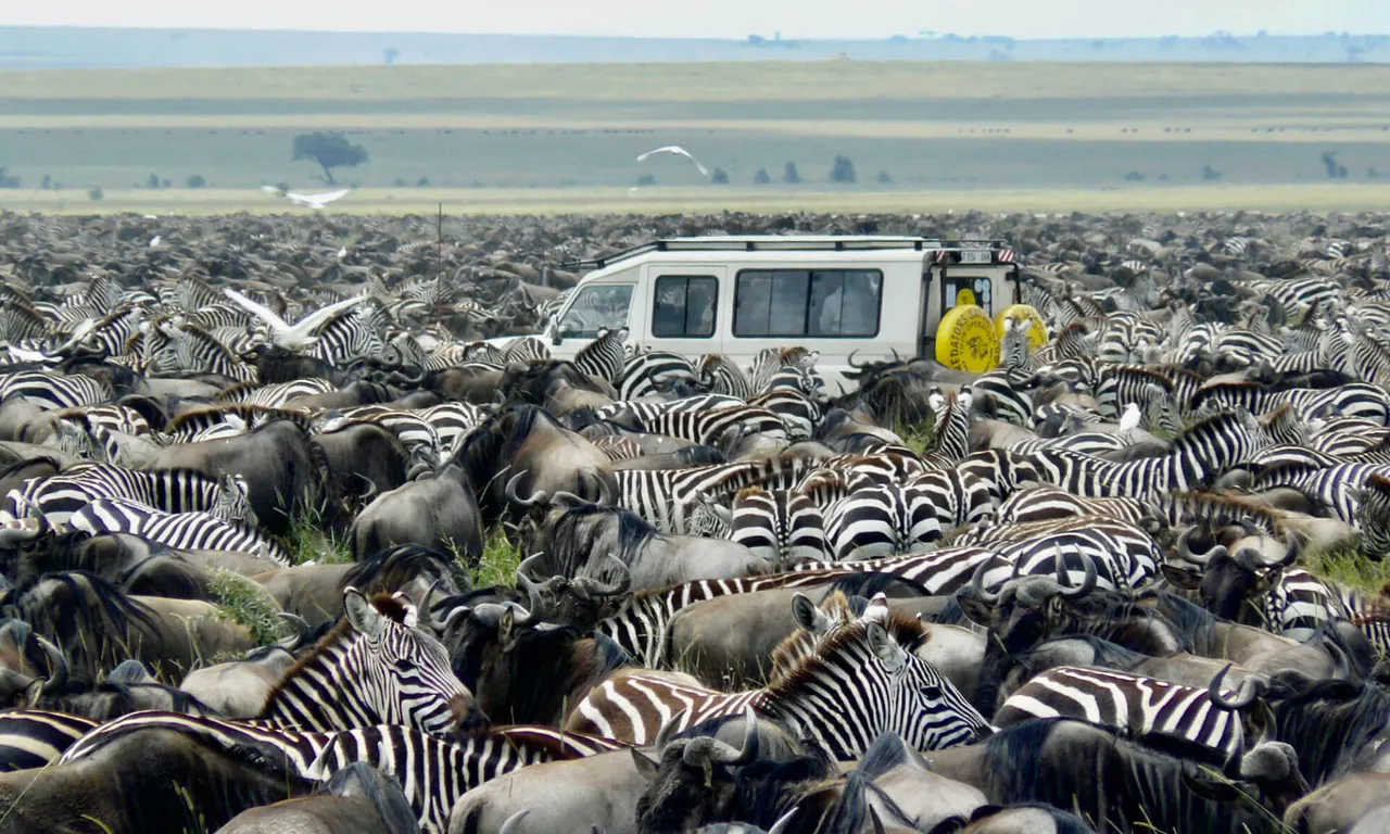 Taste of Tanzania Safari