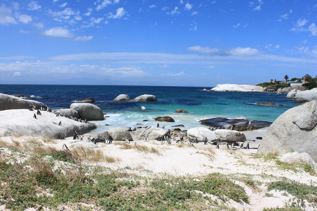 Cape Town 3-day package - Image 2